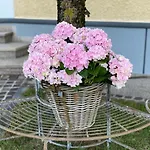 Almtalhotel In Appartement Pettenbach