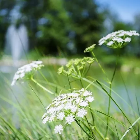 Apartman Almtalhotel In 4*