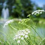 아파트 Almtalhotel In 4*