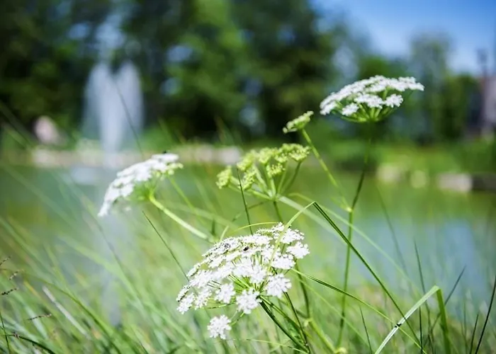 شقة Almtalhotel In 4*