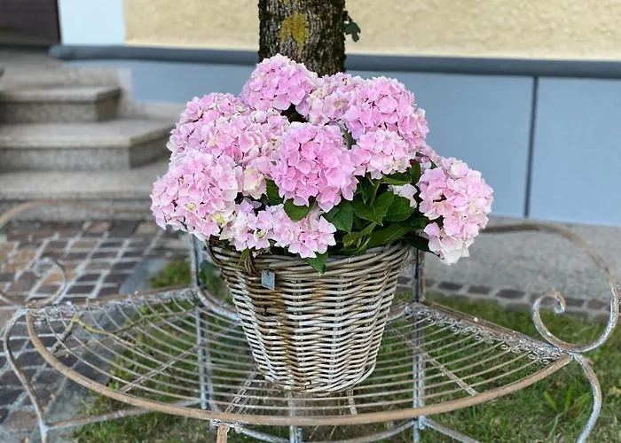 Almtalhotel In 公寓 Pettenbach